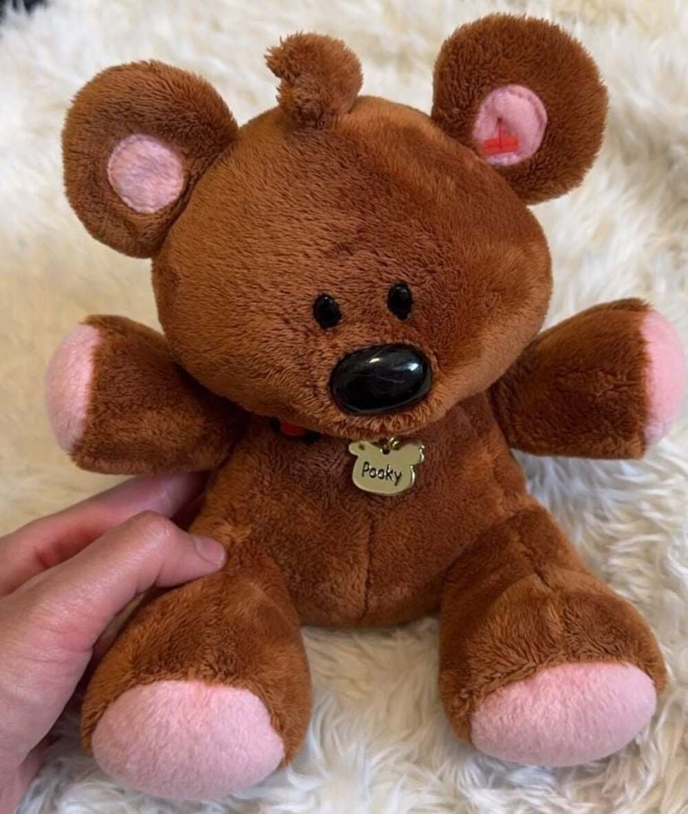 Ty Beanie Buddies Collection Garfield Pooky Bear Plush